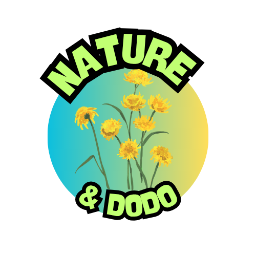 Nature&Dodo